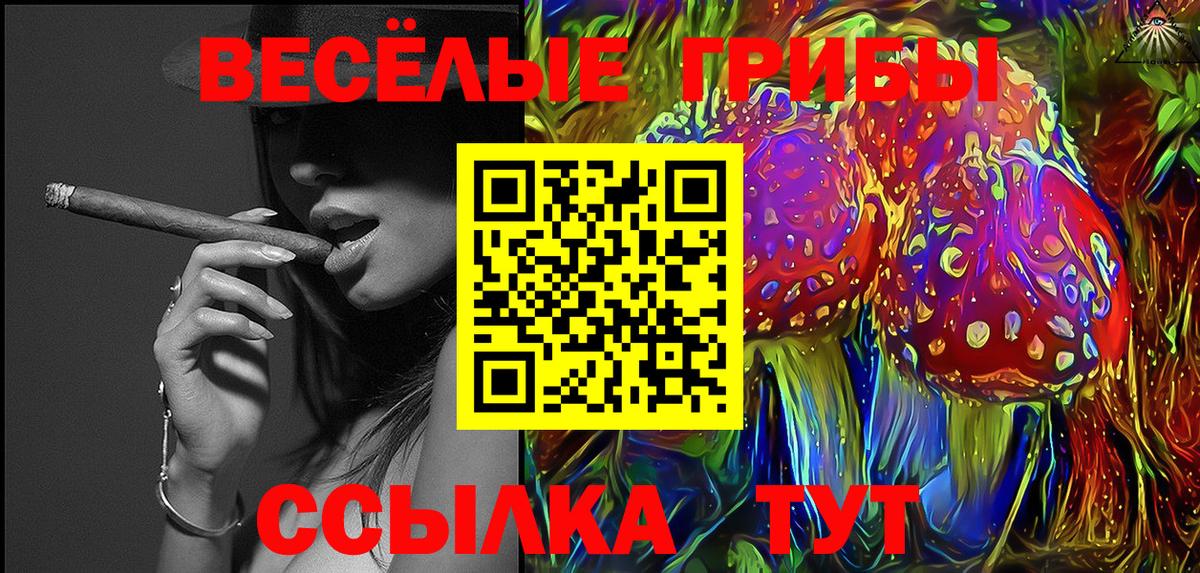 Дзержинский  Галлюциногенные грибы Psilocybe  Вход с VPN 